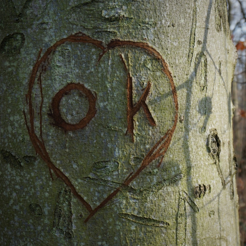 Songs zum Jahresbeginn